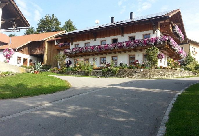 Bild 45