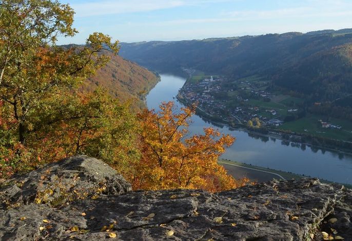 Bild 12