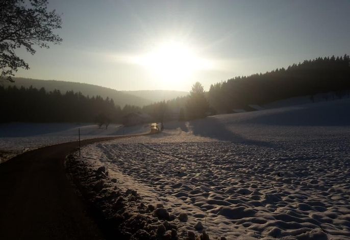 Bild 19