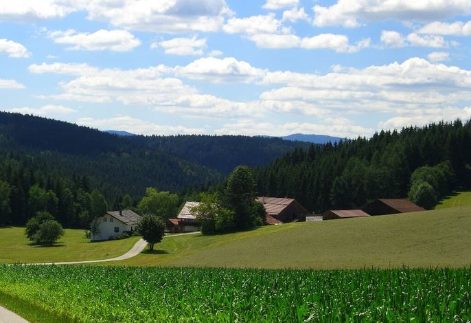 Bild 14