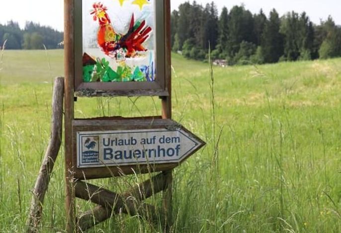 Bild 62