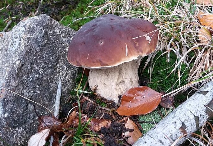 Bild 14