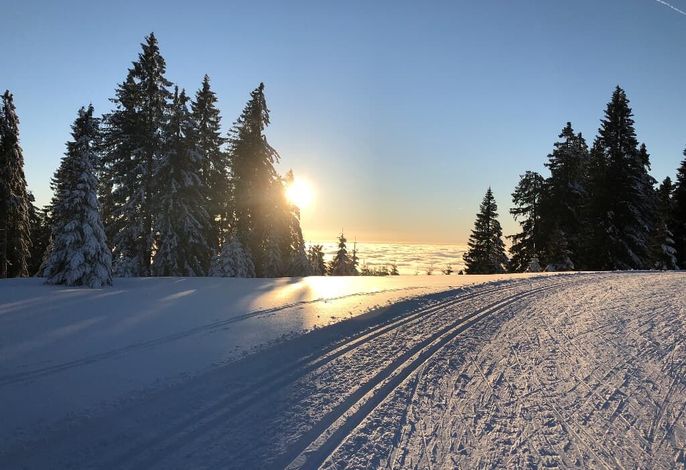 Bild 18
