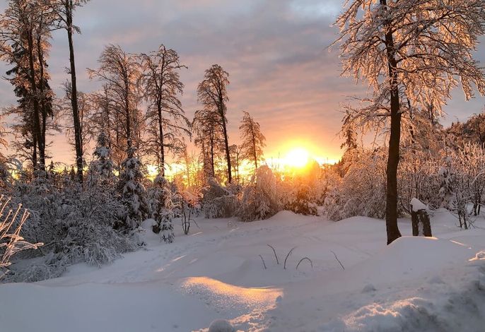 Bild 17