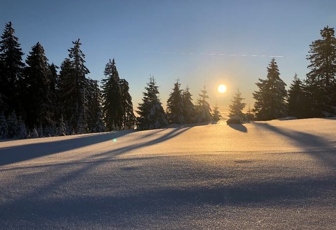 Bild 19
