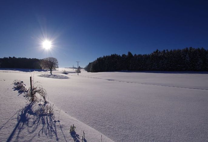 Bild 13