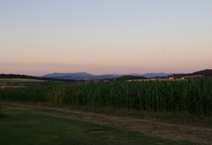 Bild 20