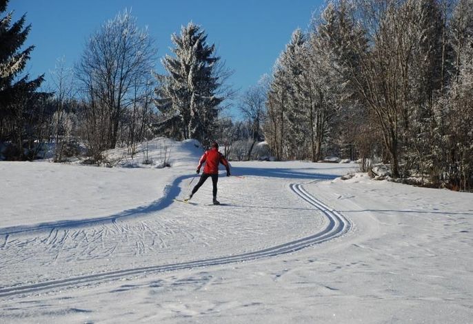 Bild 66