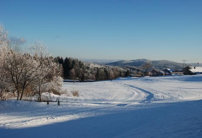 Bild 51