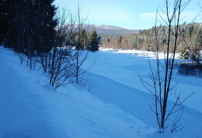 Bild 53