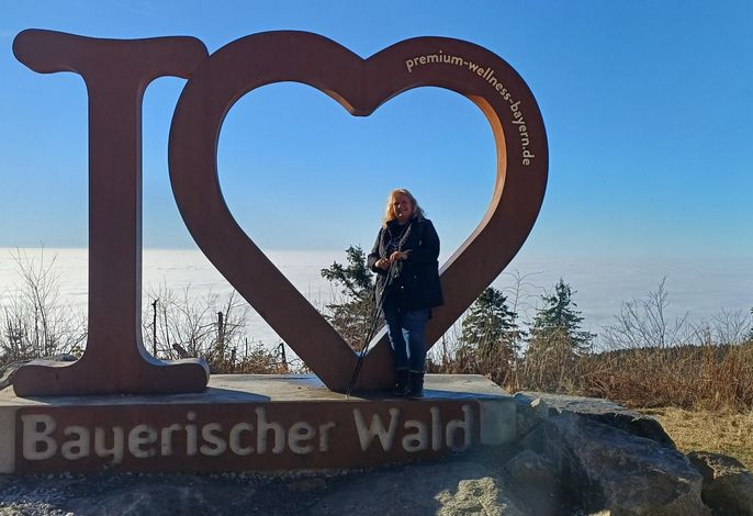 Bild 35