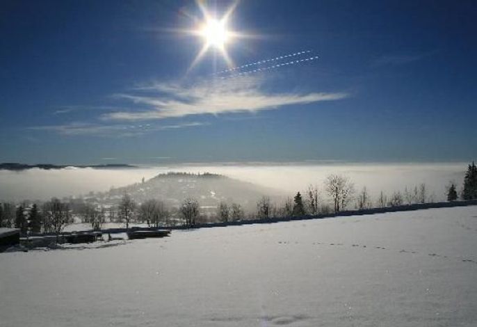 Bild 50