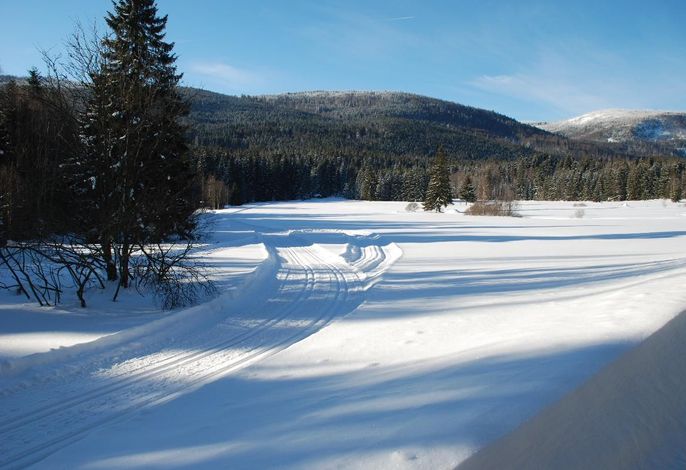 Bild 54