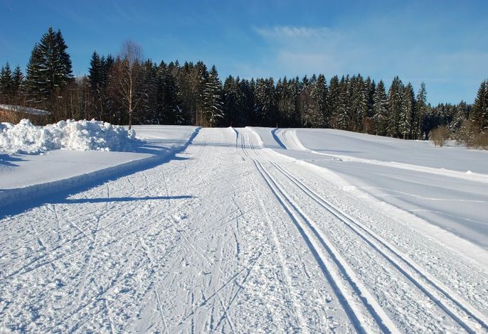 Bild 64