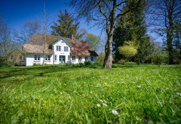 Ferienhaus uns Sommerhus
