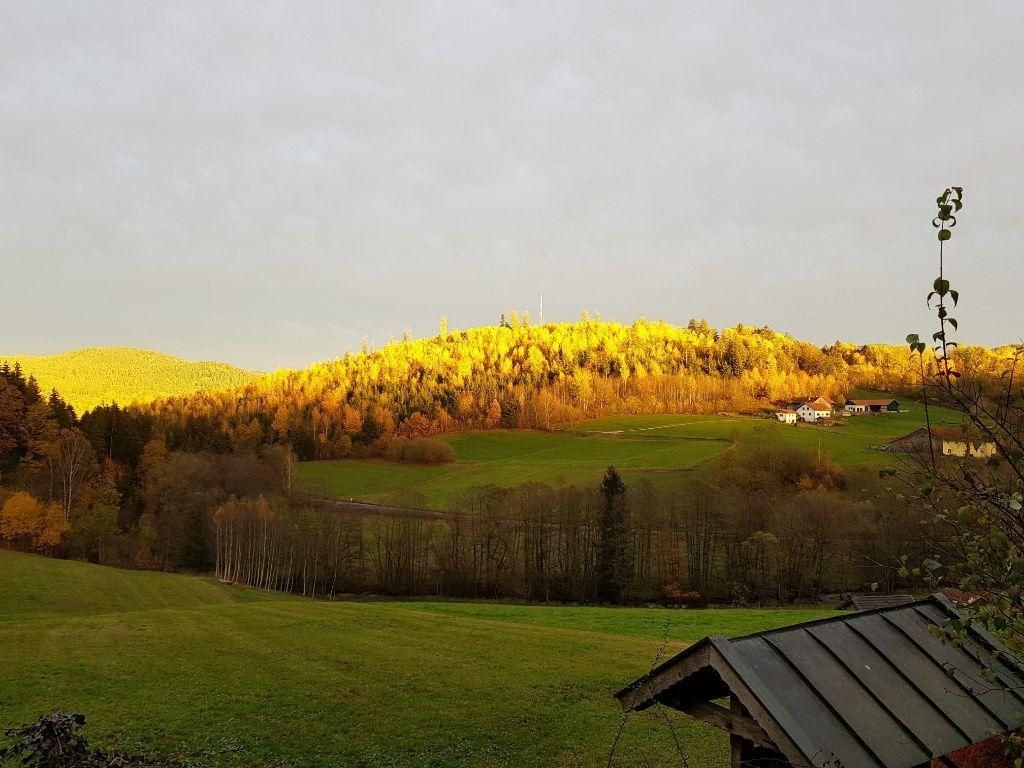 Blick IndiaSummer