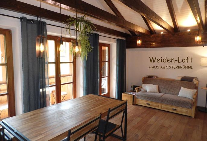 Weiden-Loft (60qm) mit Balkon/ Wintergarten
