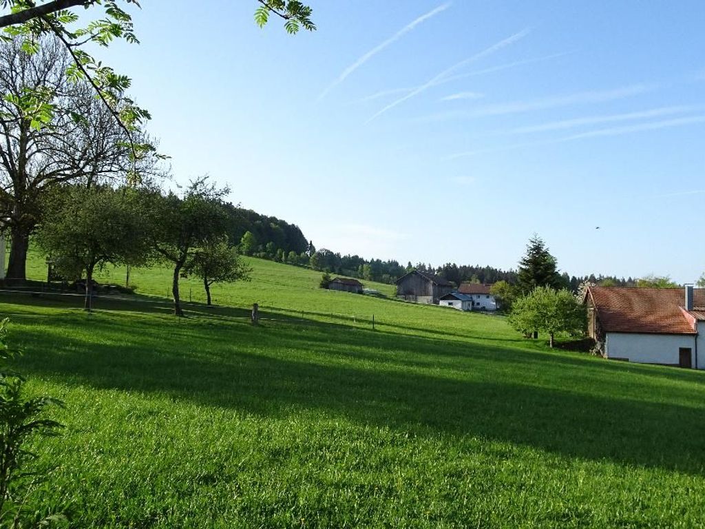 Blick aus Ferienhaus
