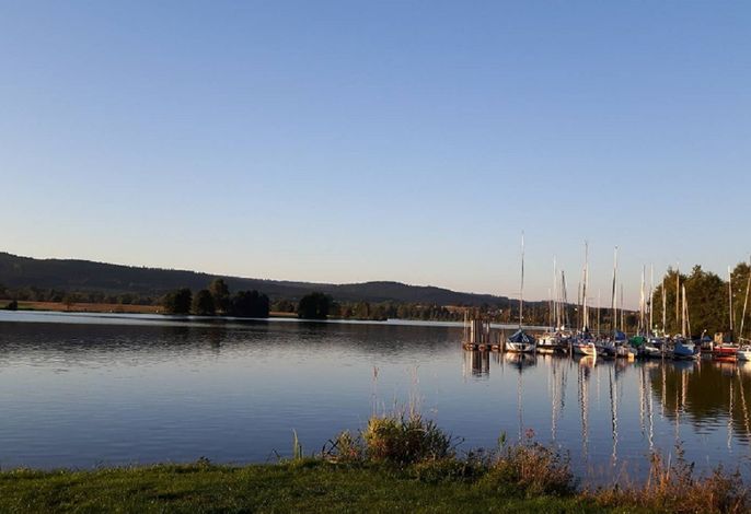 Bild 11