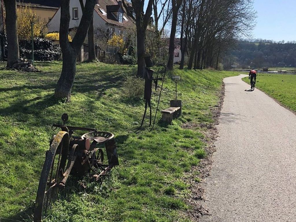 Fahrradweg am Mainufer