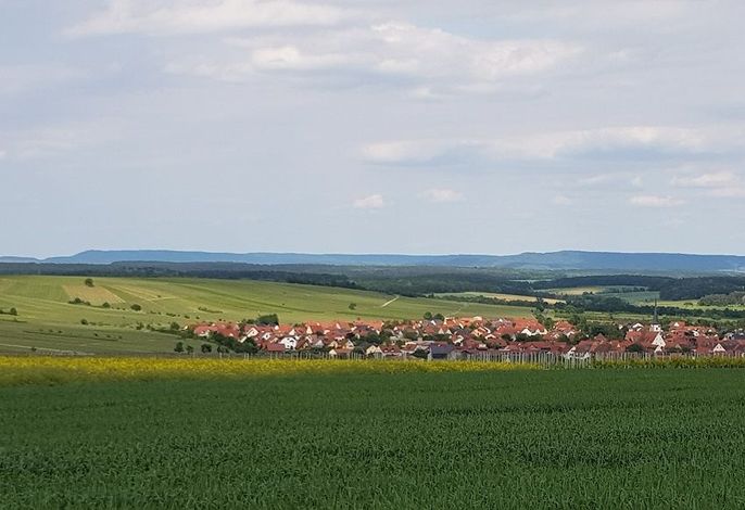 Bild 21