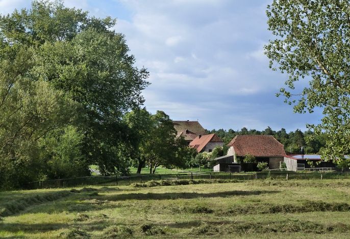 Bild 8