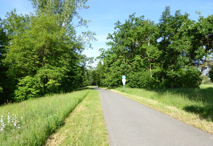 Bild 14