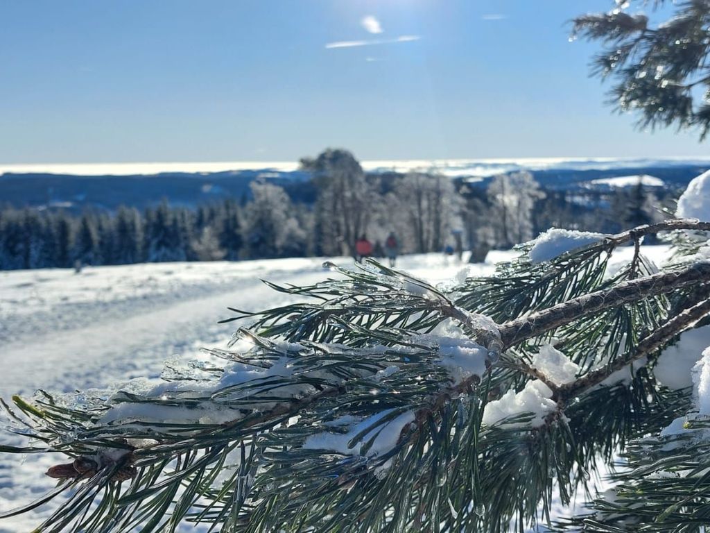 Ferienwohnungen Bergnest Winterberg