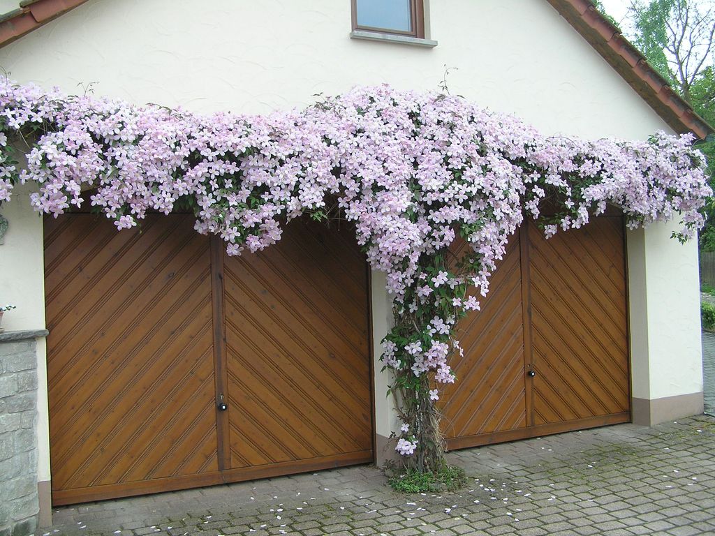 Ferienwohnung "Am Alten Berg" Goßmannsdorf