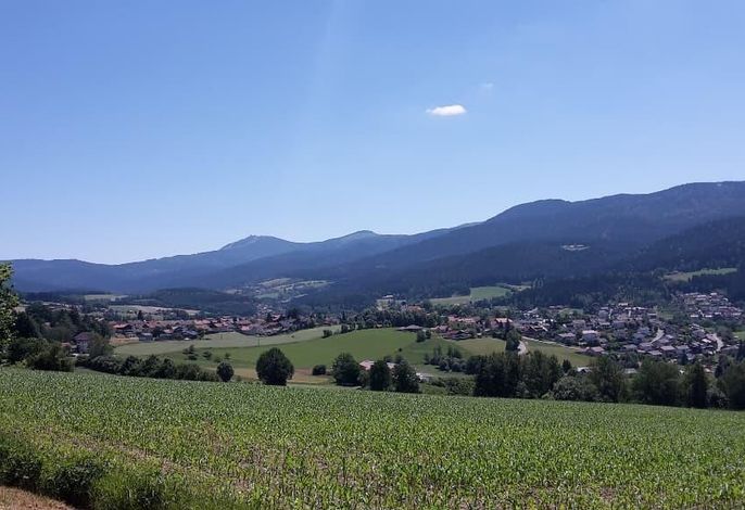 Bild 15