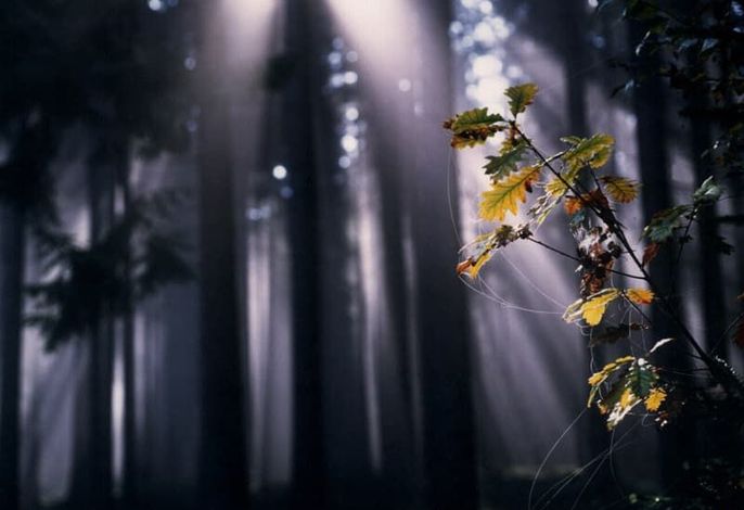 Bild 23