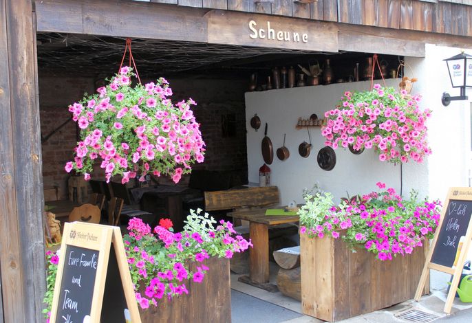 Bild 19