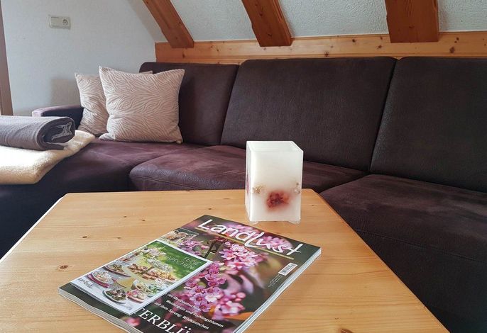 Bild 15