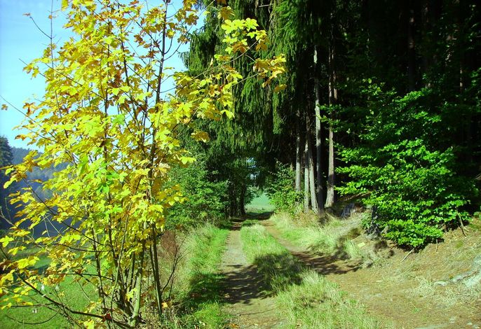 Bild 22