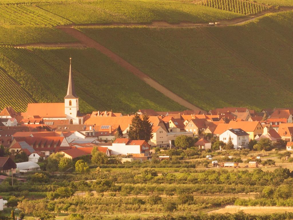 Blick auf Escherndor