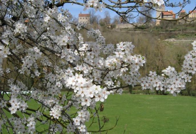 Bild 15