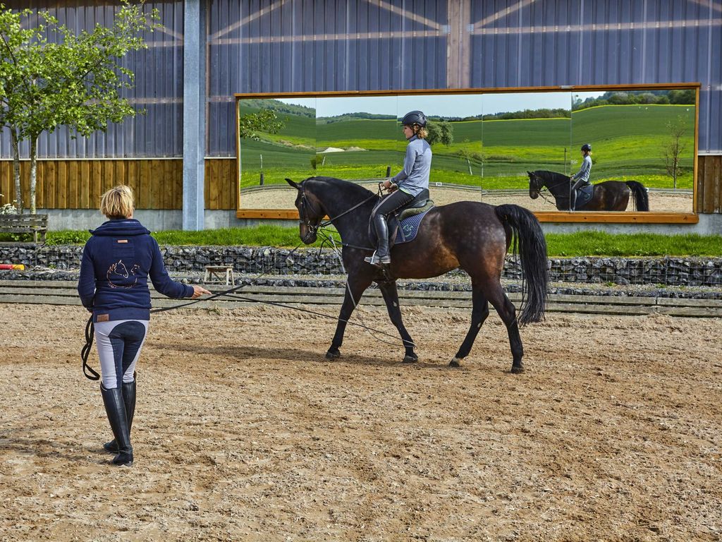 Reitunterricht an der Longe für Erwachsene