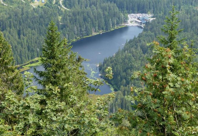 Bild 11