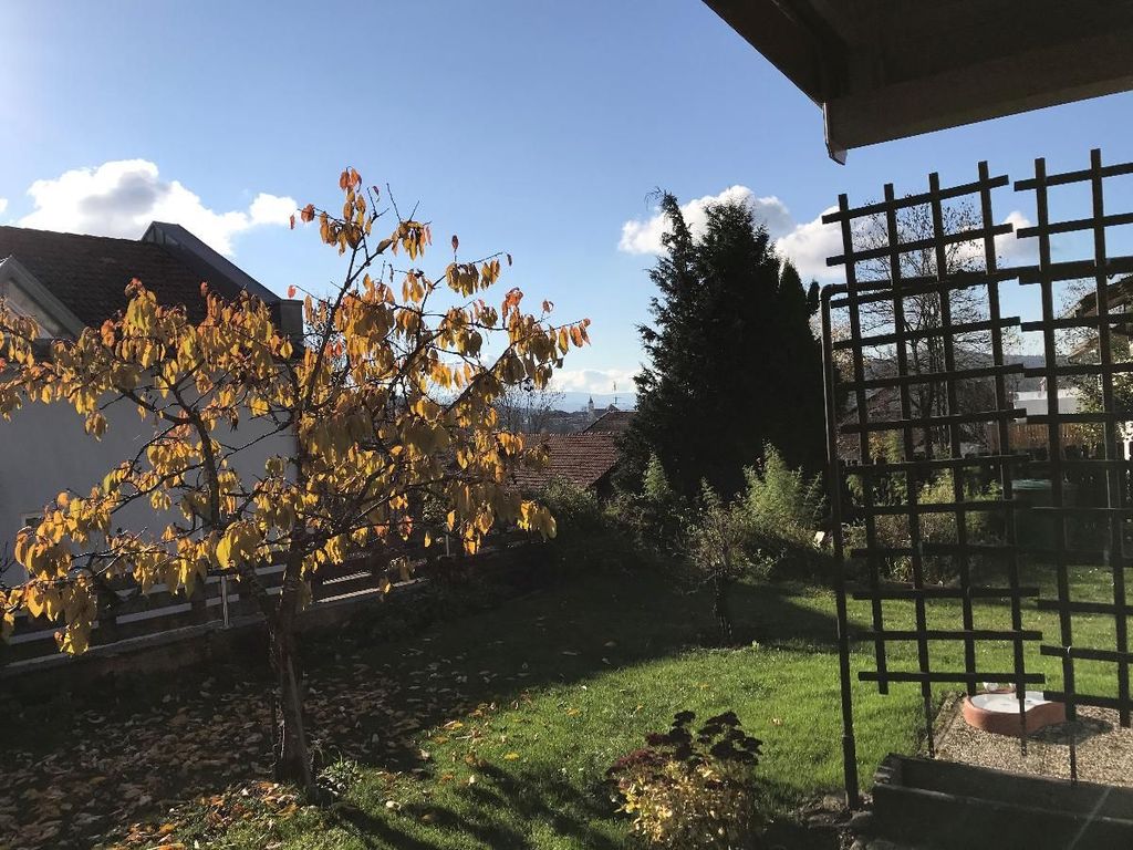 Ausblick