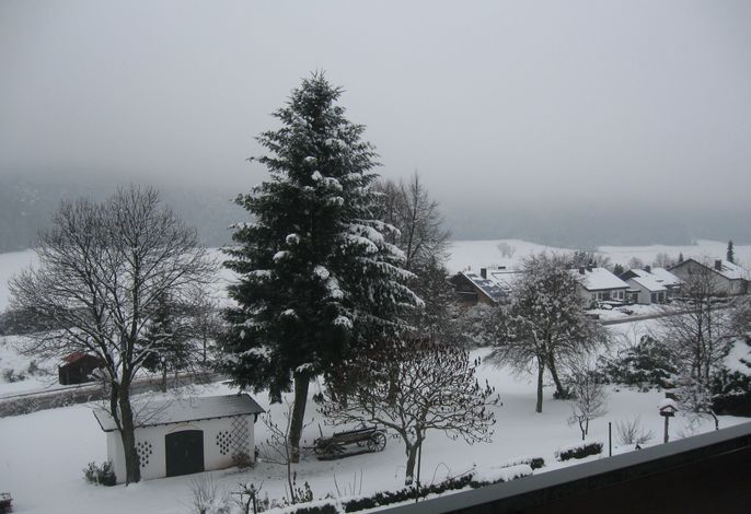Bild 20