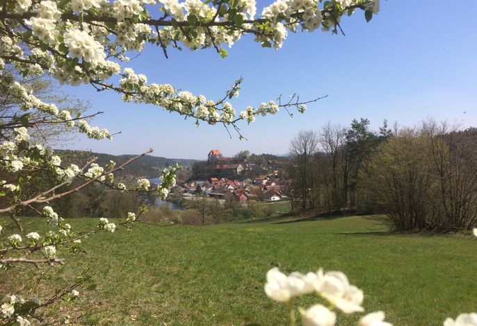 Bild 19