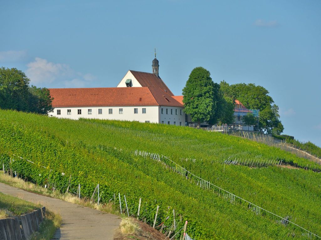Vogelsburg