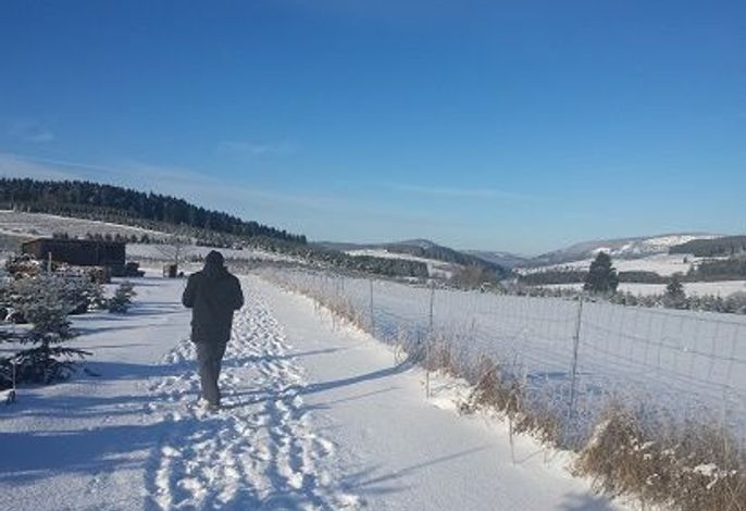 Bild 16
