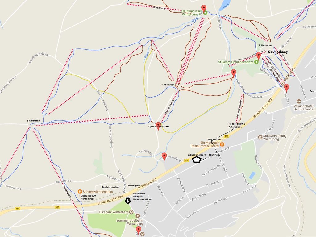 Mitten im Skikarussel