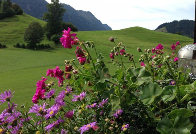 Bild 18