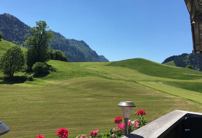Bild 16