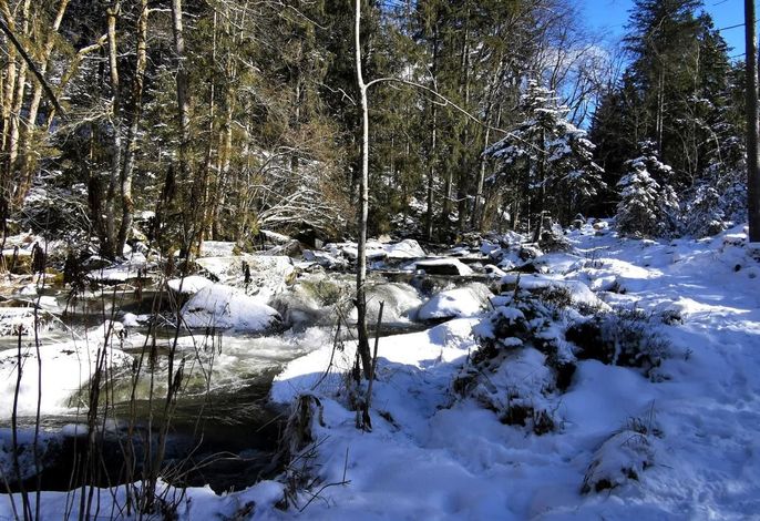 Bild 19