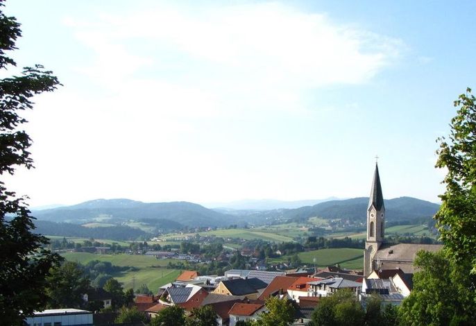 Bild 16