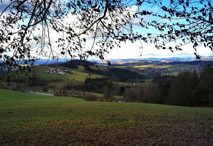 Bild 13