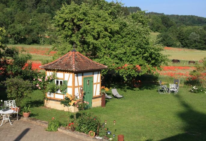 Bild 20